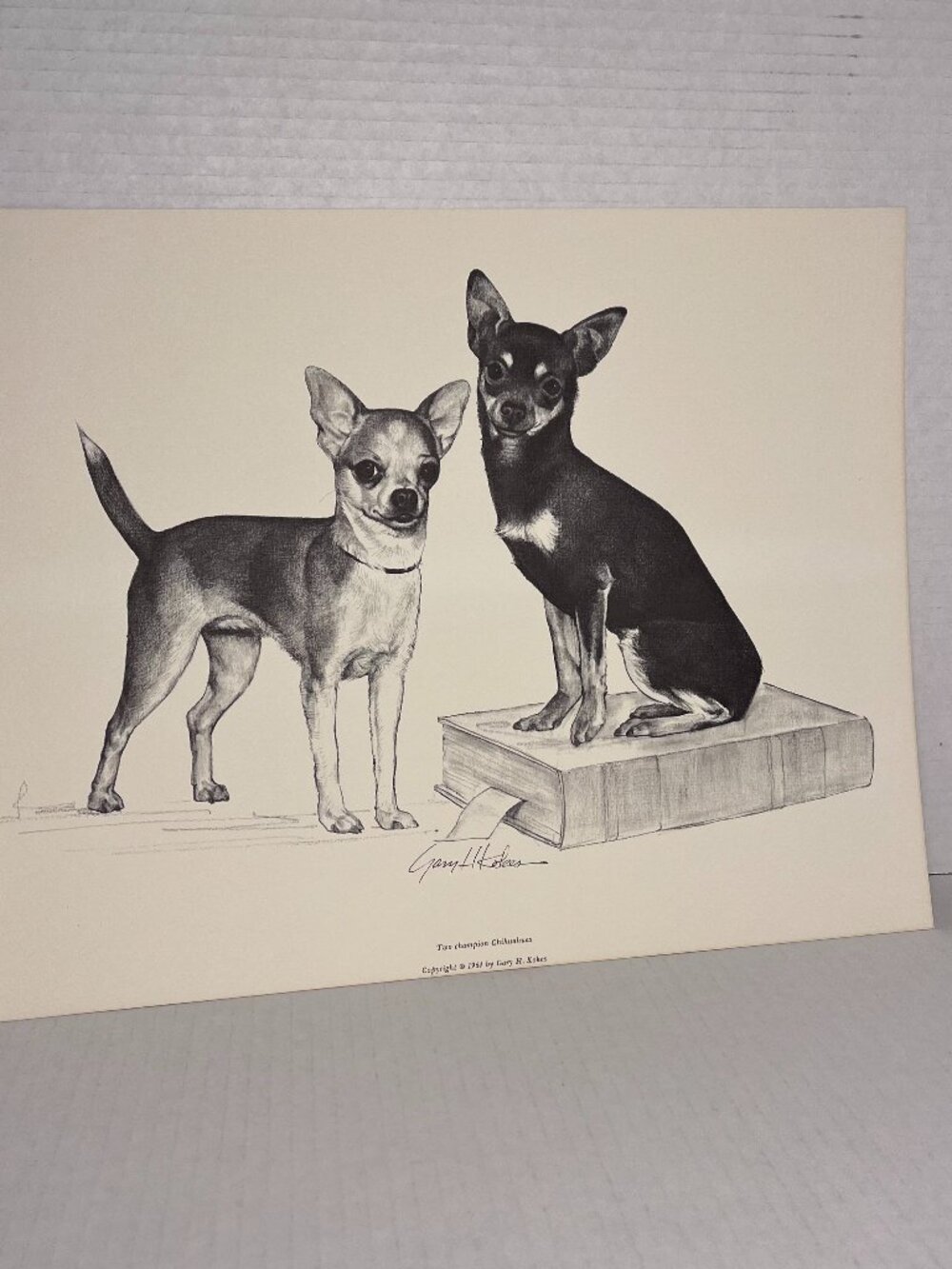 Dog Print of Charcoal Drawing by Gary H Kokes "Two champion Chihuahuas" 1964
